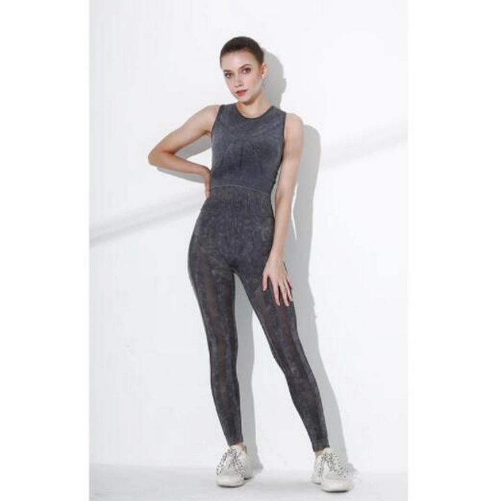 Women&prime;s Sport Bra High-Waisted Hip-Lifting Tights Pant Seamless Yoga Suit Set